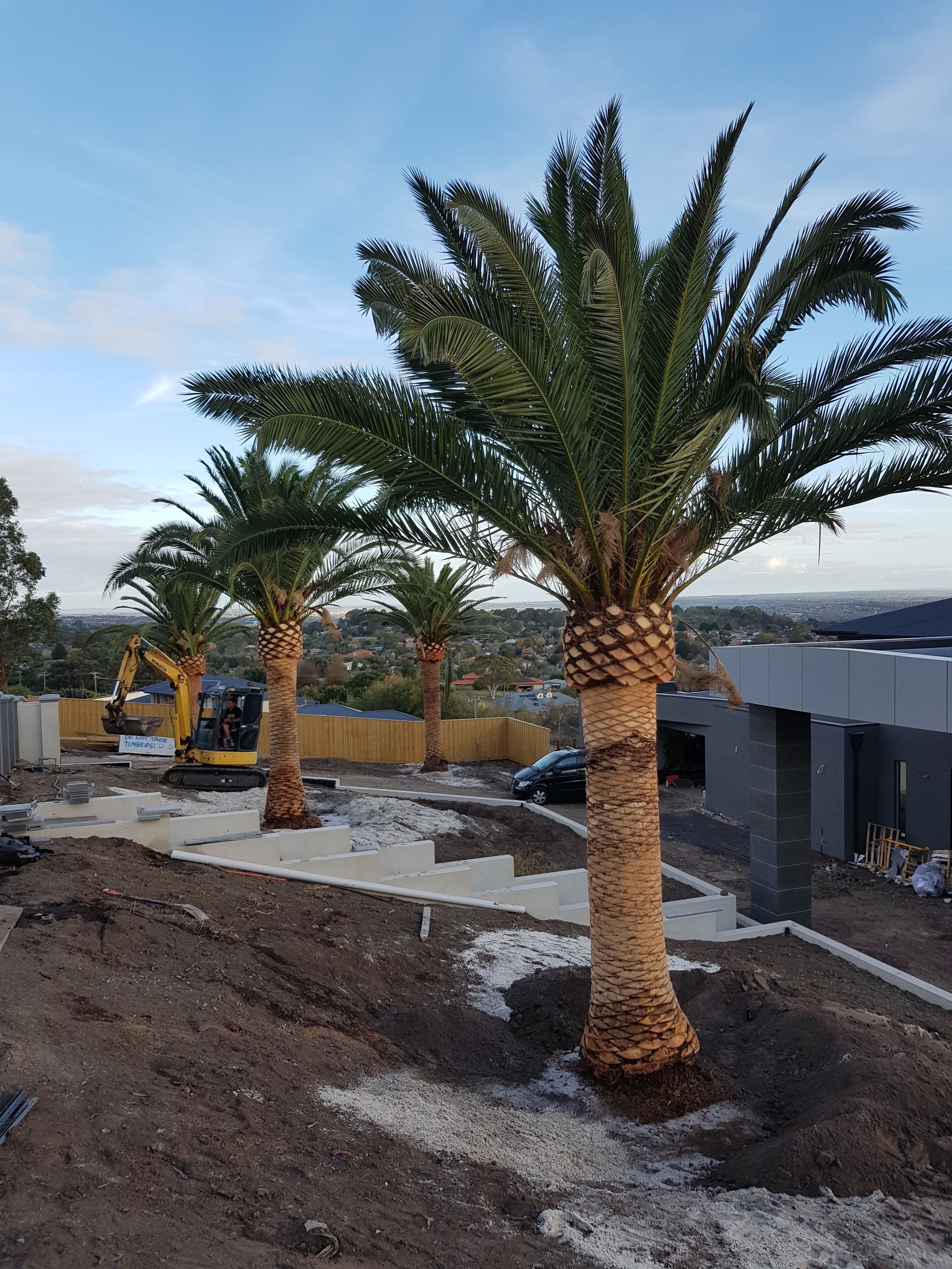 Completed concrete sleeper retaining wall and lawn on a South East Melbourne project